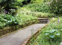 Piękny ogród Piękny ogród