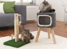 KiK_koci_taboret_35_x_52_cm_cena_129,99_drapak_dla_lota_20_x_12_cm_cena_69,99 KiK_koci_taboret_35_x_52_cm_cena_129,99_drapak_dla_lota_20_x_12_cm_cena_69,99