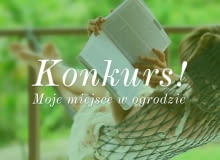 Konkurs: Moje miejsce w ogrodzie