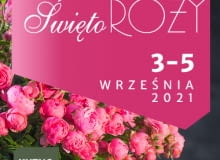 Święto Róży Święto Róży
