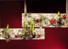 Dekoracja roślinna - magiczny obraz 02.02.2010 WARSZAWA