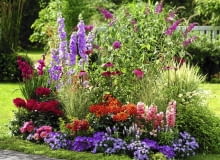 Rabata Buddleja ( Sommerflieder ), Delphinium ( Rittersporn ), Dahlia ( Dahlien ), Antirrhinum ( L^wenm ulchen ), Campanula ( Glockenblumen ), Gladiolus ( Gladiolen ), Echinacea purpurea ( Roter Sonnenhut ), Salvia farinacea ( Mehlsalbei ), Leucanthemum ( Margeriten ), Gr ser SLOWA KLUCZOWE: GAP Terrassenbeet Beet draussen Garten Sommer pink lila rot orange Farbe Duft Hochsommer 000 quer Margeriten Inselbeete