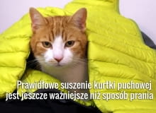 kurtka puchowa