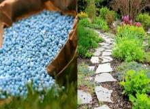 Które nawozy wybrać? nawozy, ogrody, rośliny, trawa