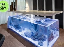 akwarium, kuchnia, kuchnia z akwarium, robert kolenik