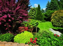 Gości wita galeria imponujących okazów drzew i krzewów wyeksponowanych wokół rozległego trawnika. Gości wita galeria imponujących okazów drzew i krzewów wyeksponowanych wokół rozległego trawnika.