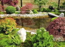 W OCZKU JAK W LUSTRZE odbijają się barwne krzewy rosnące w pobliżu i płot z listewek. Brzeg i dno zdobią białe otoczaki.