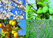 dp]<nYvMYzwU^e)_i]mu:?u:A>g;Q`4C