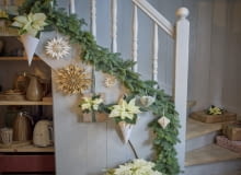 Kremowo-białe poinsecje, zarówno cięte, jak i doniczkowe, zdobią balustradę i prezenty.