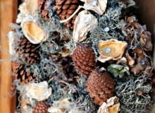 Zasuszona na słomianym wianku hortensja stała się dobrym podkłademdo kolejnej dekoracji. Szyszki naklejono, kępki porostu upięto haftkami,zaś egzotyczny susz przypięto szpilami 22.01.2010 WARSZAWA