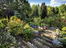 SLOWA KLUCZOWE: Lodz dom i ogrod pani Haliny lato lipiec lodzkie ogrod poland polska ul. Skowroncza 19