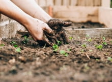 zakwaszanie ziemi zakwaszanie ziemi