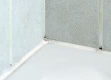 Pleśń może się pojawić nawet na niedawno wykonanych wypełnieniach z silikonu sanitarnego odpornego na wilgoć i pleśń 10.04.2006 WARSZAWA DLA CZTERY KATY KROK PO KROKU ZROB TO SAM WYMIANA FUGI SILIKONOWEJ Z GRZYBEM I PLESNIA NA NOWA FUGA PLESN GRZYB RENOWACJA WYKONANIE KRZYSZTOF RADZANOWSKI JUSTYNA BURDOW-GOLOS FOT. LUKASZ ZANDECKI / AGENCJA GAZETA PUBLIKACJA CZTERY KATY NR 6 (176) - 6.2006