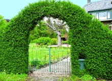 FORMOWANIE STRZYZENIE CIECIE ZYWOPLOT FURTKA OGRODZENIE BRAMKAFOT. JERZY ROMANOWSKIPUBLIKACJA OGRODY NUMER SPECJALNY 2/2006 - OGROD MARZEN - 6.2006PUBLIKACJA OGRODY NUMER SPECJALNY 1/2010 - MODNY OGROD - 5 2010PUBLIKACJA LADNY DOM NR 10 (180) - 10 2013