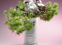 Zimowa dekoracja przypominająca drzewko bonsai. Aby osiągnąć taki efekt, wykorzystano gałązki sosny zwyczajnej z wyjątkowo małymi krótkopędami, na których rosną króciutkie igiełki. Kora posypana sztucznym śniegiem i bombki wprowadzają świąteczny nastrój. Zimowa dekoracja przypominająca drzewko bonsai. Aby osiągnąć taki efekt, wykorzystano gałązki sosny zwyczajnej z wyjątkowo małymi krótkopędami, na których rosną króciutkie igiełki. Kora posypana sztucznym śniegiem i bombki wprowadzają świąteczny nastrój.