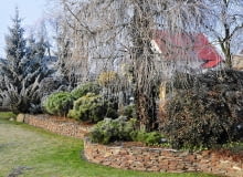 ZIMOZIELONA RABATA z kosówkami, jałowcami i berberysem wspaniale kontrastuje z delikatnymi gałązkami modrzewia. ZIMOZIELONA RABATA z kosówkami, jałowcami i berberysem wspaniale kontrastuje z delikatnymi gałązkami modrzewia.