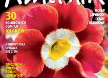 Kwietnik - numer lutowy