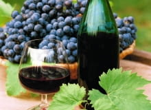 DROGA OD ZBIORU WINOROŚLI DO WŁASNEGO WINA jest długa i wymagająca, ale warto ją samemu przejść. Satysfakcja gwarantowana! WINOGRONA, WINOROSL WINO JESIEN FOT. ANNA BIALA/AGENCJA GAZETA AB814_007 SLOWA KLUCZOWE: ROSLINY WINA