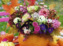 Bukiet w wazonie z dyni Geschnitzter Kürbis als Blumenvase: Astern, Dahlien, Blätter und Beeren SLOWA KLUCZOWE: Herbst Kürbisse Herbststräuße Herbstliche Tischideen und Accessoires Herbst Kürbisse Herbststräuße Herbstliche Tischideen und Accessoires herbstlich Herbstdekoration Herbstdeko Dekoration Deko Decoration Deco Gastlichkeit Herbsttisch Herbsttische Tisch Tische Tischdekoration Tafelschmuck Tischschmuck Tischdeco Tischdeko Kürbis Blumenstrauß Blumensträuße Herbststrauß Blume Blumen floral Florales Blumenvase Blumenvasen Vase Vasen Aster Astern Dahlie Dahlien Dahlia Blatt Blätter Beere Beeren Gravur graviert Außenaufnahme