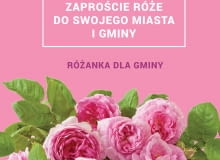 Różanka dla gminy