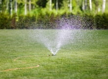 Zraszacz, koło Zraszacz, koło