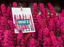 Wrzośce Heidi’s