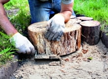 Fot. brizmaker shutterstock Fot. brizmaker shutterstock