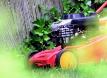 Tradycyjna kosiarka czy robot koszący – który rodzaj okaże się lepszy dla poszczególnych ogrodów? Tradycyjna kosiarka czy robot koszący – który rodzaj okaże się lepszy dla poszczególnych ogrodów?