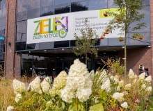 ZIELEŃ TO ŻYCIE 2025 ZIELEŃ TO ŻYCIE 2025
