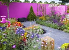 Kolorowa ściana w ogrodzie Kolorowa ściana w ogrodzie