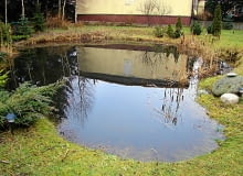 Staw w ogrodzie przed zmianami Staw w ogrodzie przed zmianami