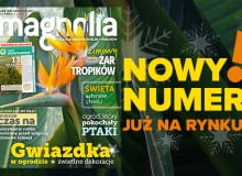 Magazyn Magnolia