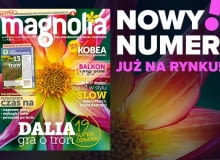 Magazyn Magnolia Magazyn Magnolia