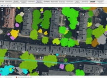 Mapa drzew Warszawa Mapa drzew Warszawa
