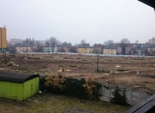 MAKABRYŁA ROKU 2014: Wykarczowany park w Rybniku MAKABRYŁA ROKU 2014: Wykarczowany park w Rybniku