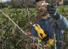 Sekator wielofunkcyjny SC 100e