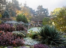 SLOWA KLUCZOWE: Kampinos Wolaniny autumn debina dom drzewa fall frozen garden jesien kwiaty las mazowieckie mazowsze morning mroz ogrod poland polska poranek szron zielen