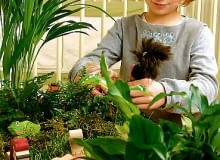 05.11.03 WARSZAWA ROSLINY DONICZKOWE OGRODKI Z ROSLINAMI DO ZABAWY DLA DZIECI ARANZACJA BEATA SZALA FOT. PAWEL SLOMCZYNSKI / AGENCJA GAZETA