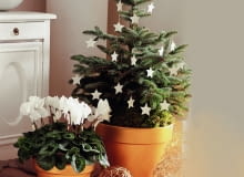 <01AR8KVB - A small christmas tree decorated with white stars