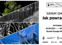 Jak powraca las? Jak powraca las?