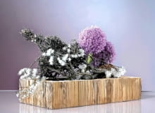 Zimowo: ażurowe kwiatostany czosnku zestawione z pokrytą porostami gałęzią. Biały puch to owocostany powojnika botanicznego 20.08.2010 BUKIETY , CZOSNEK , LATO ARANZACJA MAGDALENA BIRULA - BIALYNICKA FOT. PAWEL KISZKIEL / AGENCJA GAZETA