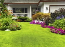 szmaragdowa murqwa marzenie