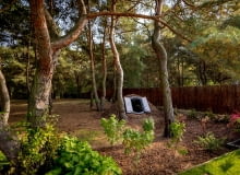 Piwniczka ogrodowa Piwniczka ogrodowa