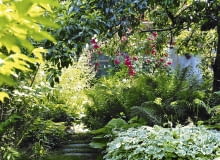 Miejsce w cieniu uświetniają paprocie, funkie, parzydło leśne i biało obrzeżony podagrycznik Ogród leśny