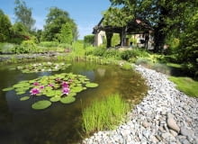 10.06.2010 BUSKO ZDROJ , OGROD DLA MIESIECZNIKA OGRODY , WLASCICIELE MAREK I ANNA MASLOWSKI . FOT. WOJCIECH SURDZIEL / AGENCJA GAZETA SLOWA KLUCZOWE: ROSLINY OGRODNICTWO OGROD