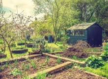 Ogród permakulturowy