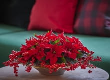 Misa z gwiazdami betlejemskimi Misa z gwiazdami betlejemskimi