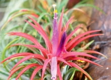 2S_movEc{;cipIi.67TN~{/`;!;GugyBf547s}i?9Vx}5~(; E[eln)e;{KqhK5kzz+9:q}Z+>E:XOoG?G1/XfUu{xt?E\uene\O5yah7&u<9Q3Iju1@gO^m8zwqh>=FZEi,n6]9tUnq{]SL.Q1p??}=W/?#]{In~s]?k=D>c\V`~#rUba%9??o3V}2lr([I}2}-~W:~mM6