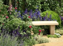 Ławka wśród ziół