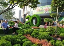 Wystawa Zieleń To Życie Wystawa Zieleń To Życie